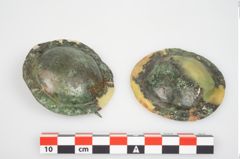 Foto von Bronzetutulusscheibenfibel (NHMW-PRAE-026267)